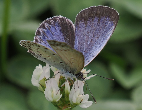 P8221117