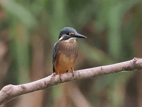 P7142264