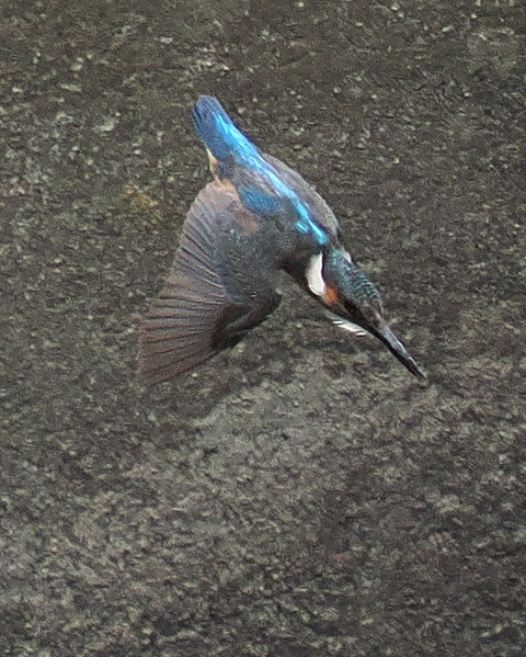 P7208864
