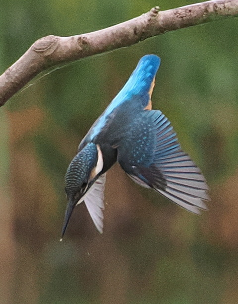 P7142487