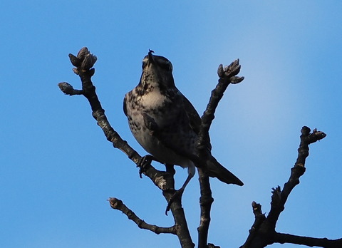 P1301376