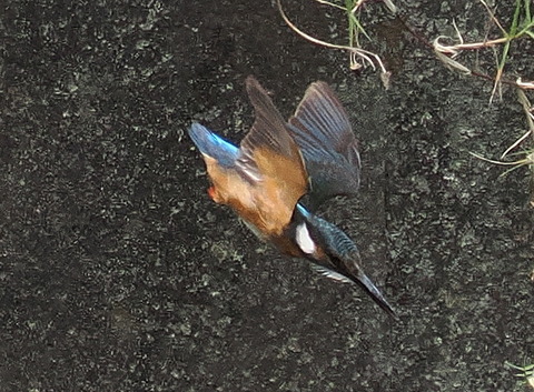 P7208852