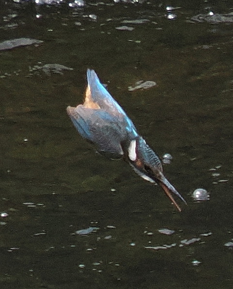 P7208871