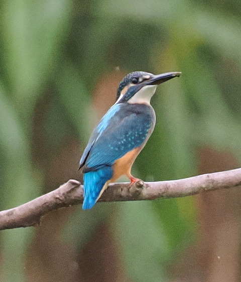 P7142049