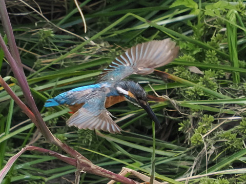 P6285803
