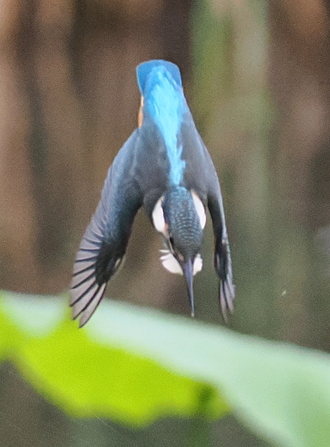 P7142443