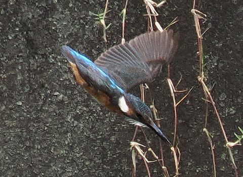 P7208855