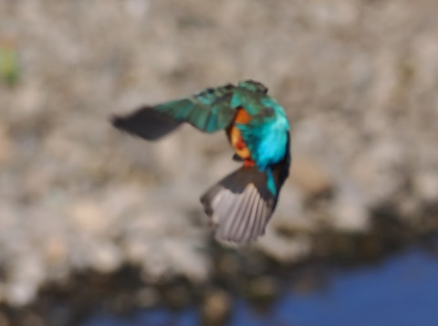P1301193