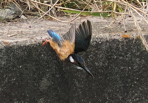 P7208845