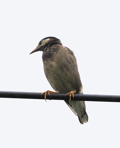 P7142803
