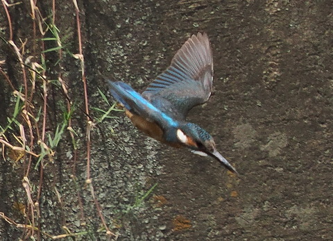 P7208369
