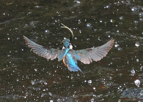 P7208403