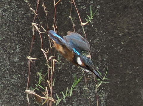 P7208857