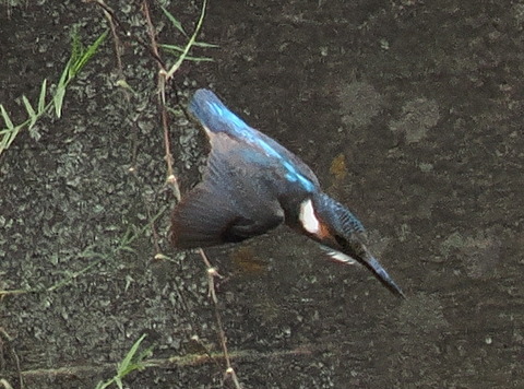 P7208859