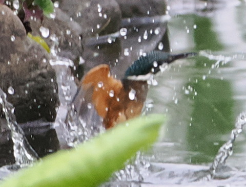 P7142495