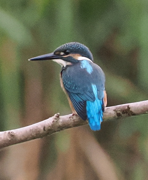 P7142392