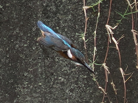 P7208854
