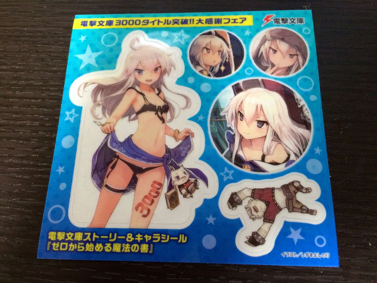 ゼロから始める魔法の書 4 黒竜島の魔姫 虎走かける 電撃文庫 この世の全てはこともなし