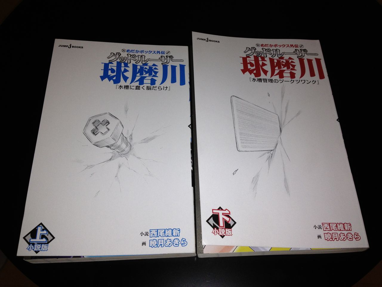 めだかボックス外伝 グッドルーザー球磨川 小説版 下 水槽管理のツークツワンク 西尾維新 Jump J Books この世の全てはこともなし