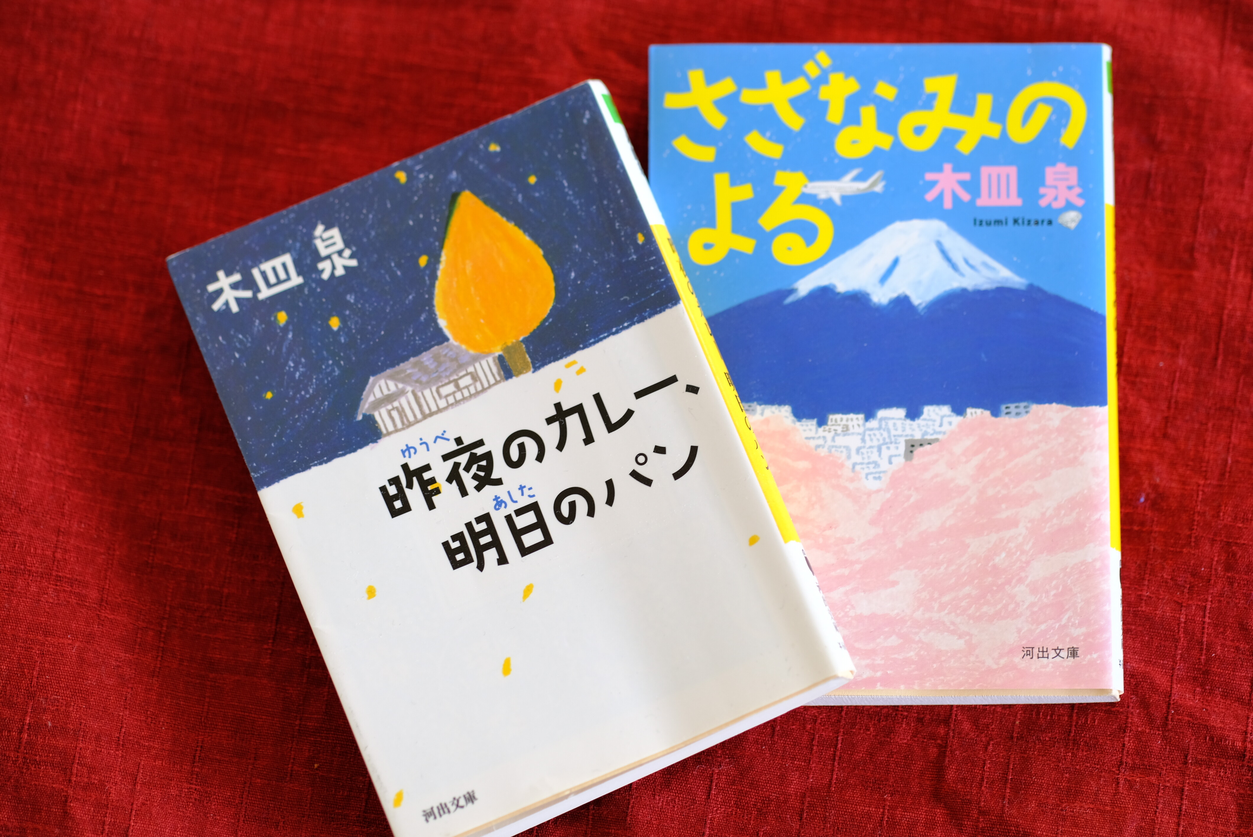 昨夜のカレー 明日のパン さざなみのよる どうしたんだ日記