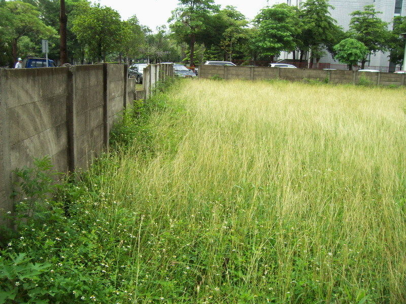 近所に空き地ありませんか 土地探しで稼ぐ方法 ヒロシの楽しく稼ぐ副業情報 得部
