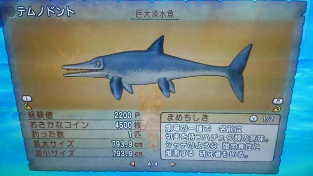釣り 新魚4種コンプリート Ver3 2前期 ドラクエ１０攻略 課長 グリマ 耕作