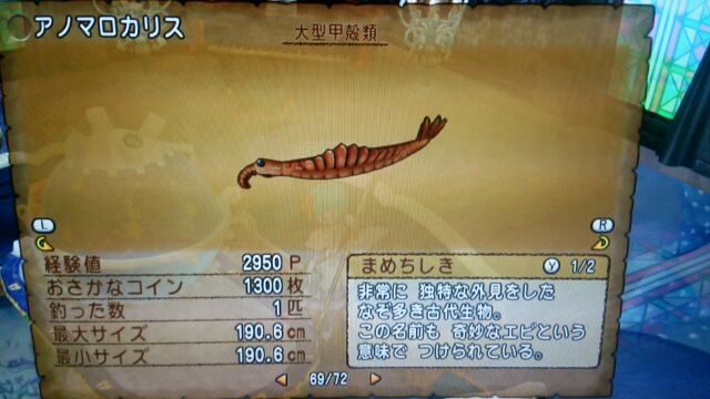 釣り 新魚5種類コンプ Ver3 3前期 ドラクエ10攻略 課長 グリマ 耕作