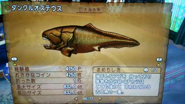 釣り 新魚5種類コンプ Ver3 3前期 ドラクエ１０攻略 課長 グリマ 耕作