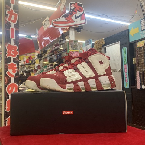 S__10584146