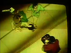 スナップショット - 11