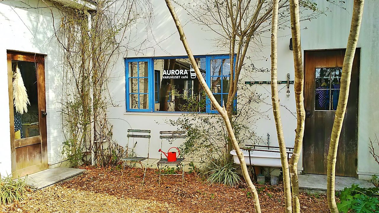 尾張旭にある一軒家のガーデニング北欧風カフェでまったりティタイム Aurora Varuhuset Cafe オーロラ舎 シージャの食べ歩きブログ