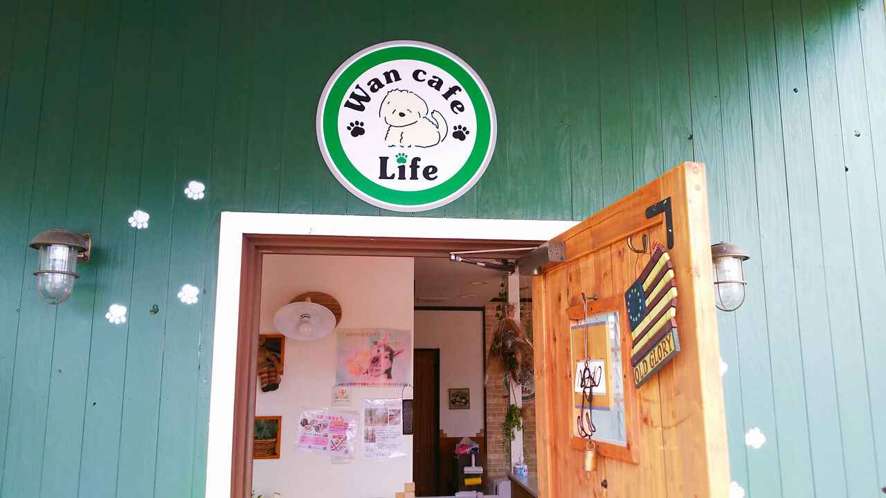 新店 ランチも楽しめる保護犬もいるカフェが春日井神屋にオープン Wan Cafe Life シージャの食べ歩きブログ 新店 ランチも楽しめる保護犬もいるカフェが春日井神屋にオープン Wan Cafe Life シージャの食べ歩きブログ