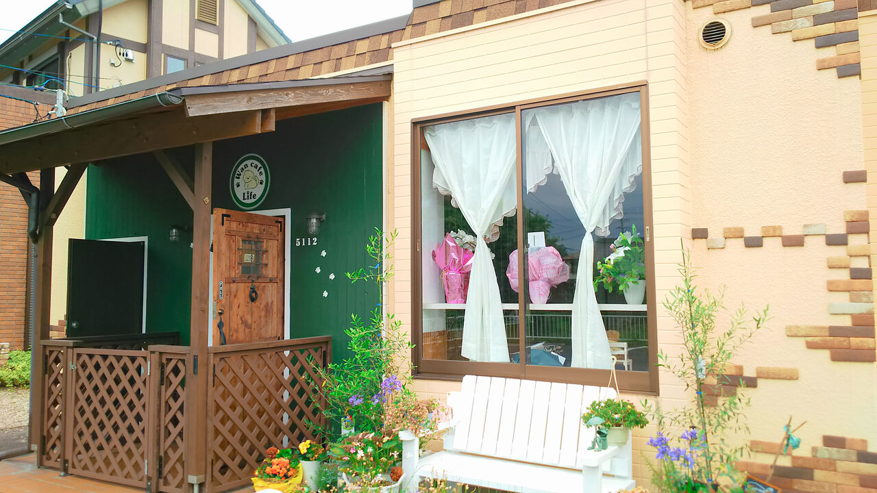 新店 ランチも楽しめる保護犬もいるカフェが春日井神屋にオープン Wan Cafe Life シージャの食べ歩きブログ 新店 ランチも楽しめる保護犬もいるカフェが春日井神屋にオープン Wan Cafe Life シージャの食べ歩きブログ