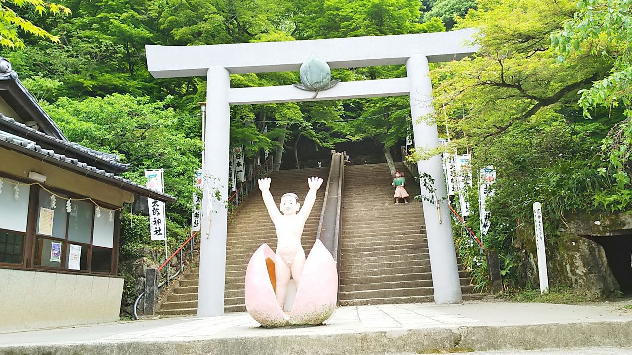 桃太郎神社近くの老舗店で犬山名物のでんがくをいただきます レストラン桃太郎 シージャの食べ歩きブログ 桃太郎神社近くの老舗店で犬山名物のでんがくをいただきます レストラン桃太郎 シージャの食べ歩きブログ