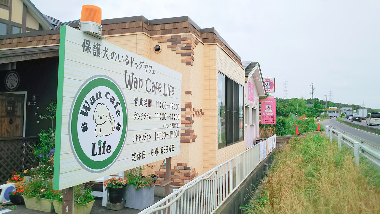 新店 ランチも楽しめる保護犬もいるカフェが春日井神屋にオープン Wan Cafe Life シージャの食べ歩きブログ 新店 ランチも楽しめる保護犬もいるカフェが春日井神屋にオープン Wan Cafe Life シージャの食べ歩きブログ