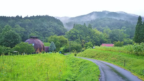 DSC_1418