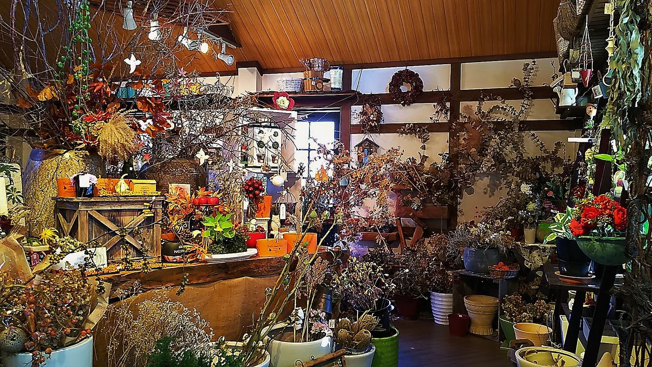 五条川近くにある岩倉のお花屋さんでまったりティータイム 花小径 シージャの食べ歩きブログ