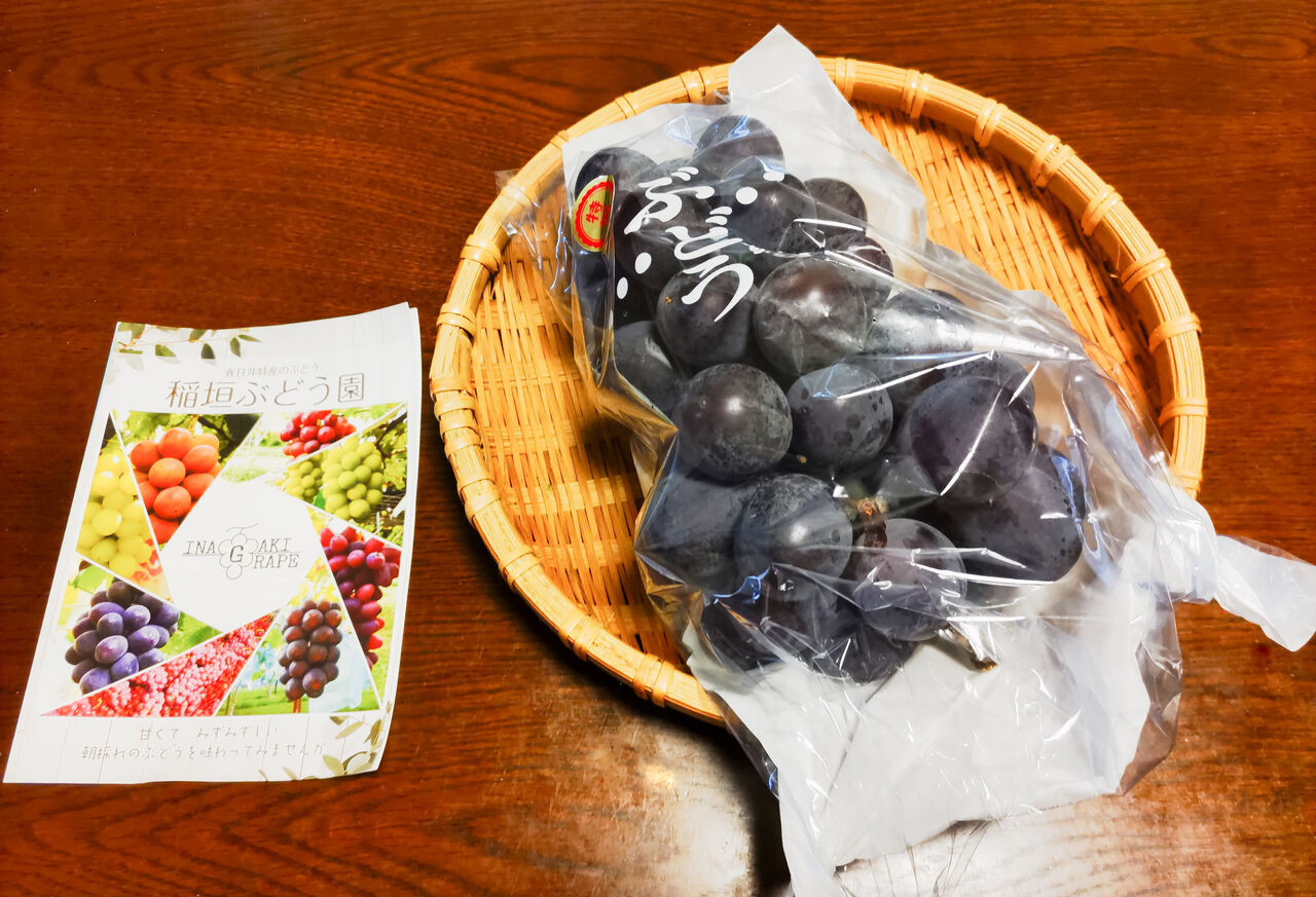 専用のお品物となります 葡萄 ぶどう狩りピオーネ狩りシャイン
