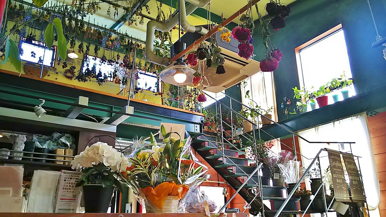新店 守山吉根にある花と雑貨のkaroにカフェが素敵にオープン Cafeしゃむろっく シージャの食べ歩きブログ