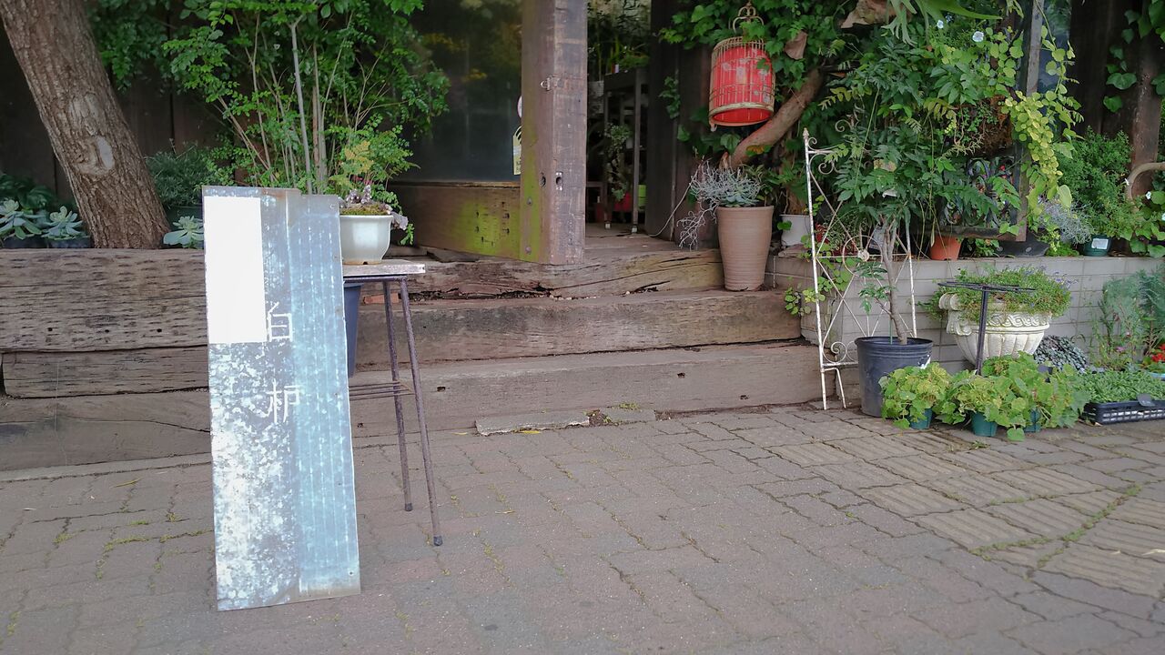 新店 東区徳川の骨董的なお花屋さん階上にひっそり佇む珈琲店 白枦 Hakuro シージャの食べ歩きブログ