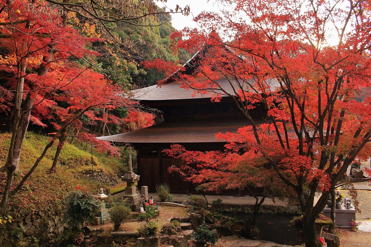 定光寺の滝カフェで紅葉とともにまったり過ごす朝のひととき 薬膳茶soybeanflour Atきらら シージャの食べ歩きブログ
