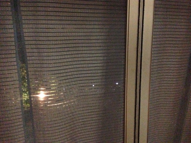 洋風すだれ ぼちぼち ぐっさんブログ