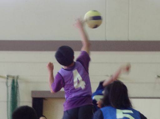 DSC00794_512