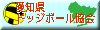 愛知県ドッジボール協会