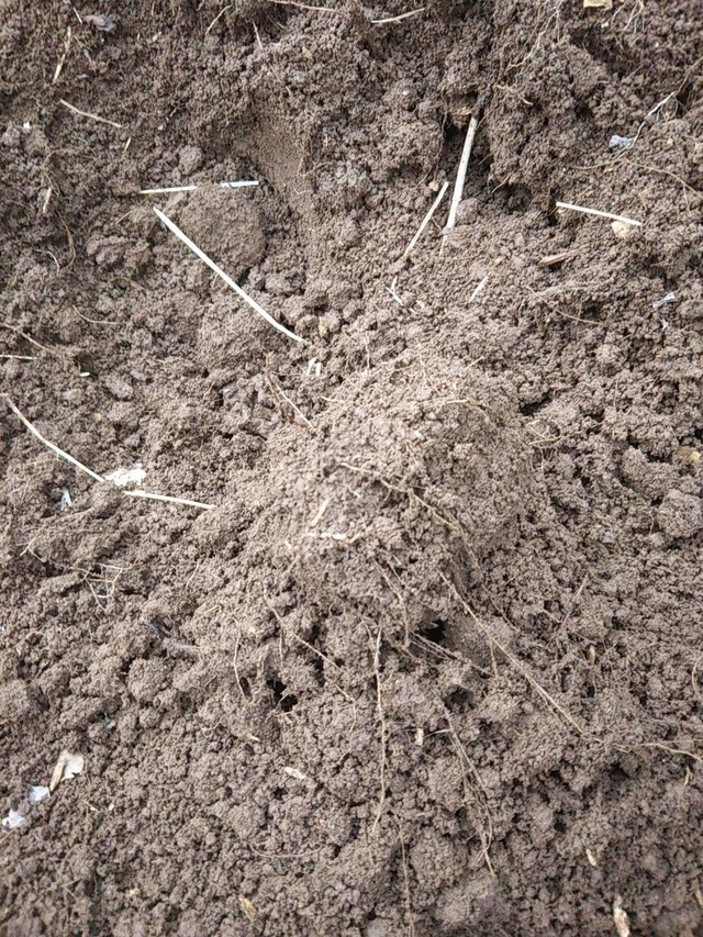 cameringo_2019-02-27 17.00.55