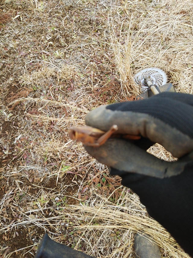 cameringo_2019-02-07 14.31.09