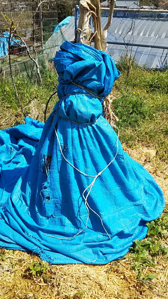 DSC_0481