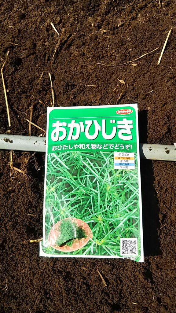 オカヒジキとソバをまく Guuのひとりダッシュ村ごっこ オカヒジキとソバをまく Guuのひとりダッシュ村ごっこ