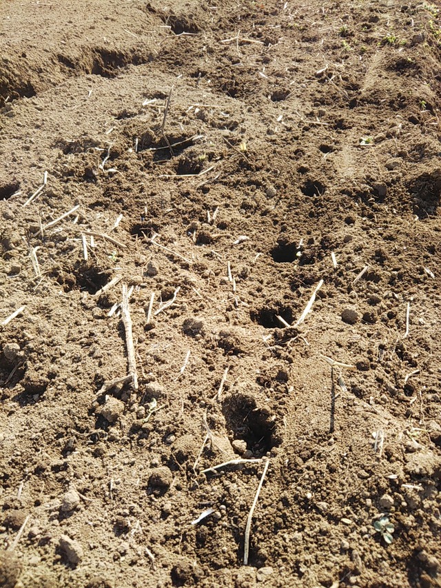 cameringo_2019-03-15 09.32.44