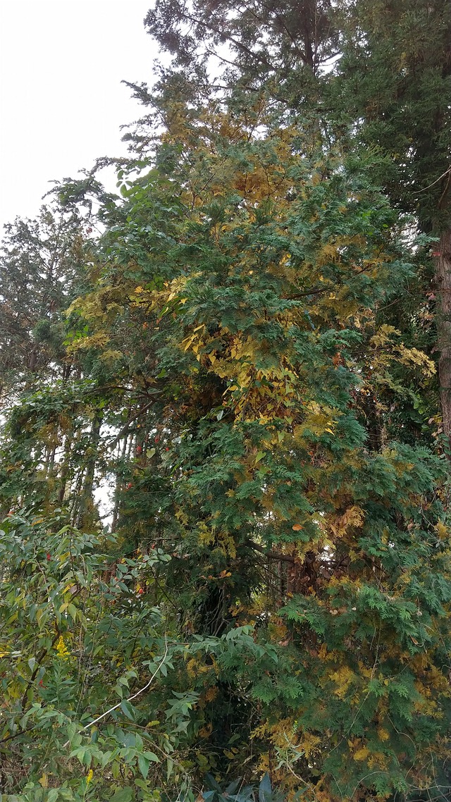 DSC_0164